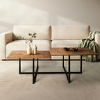 Rustic-Modern Coffee Table